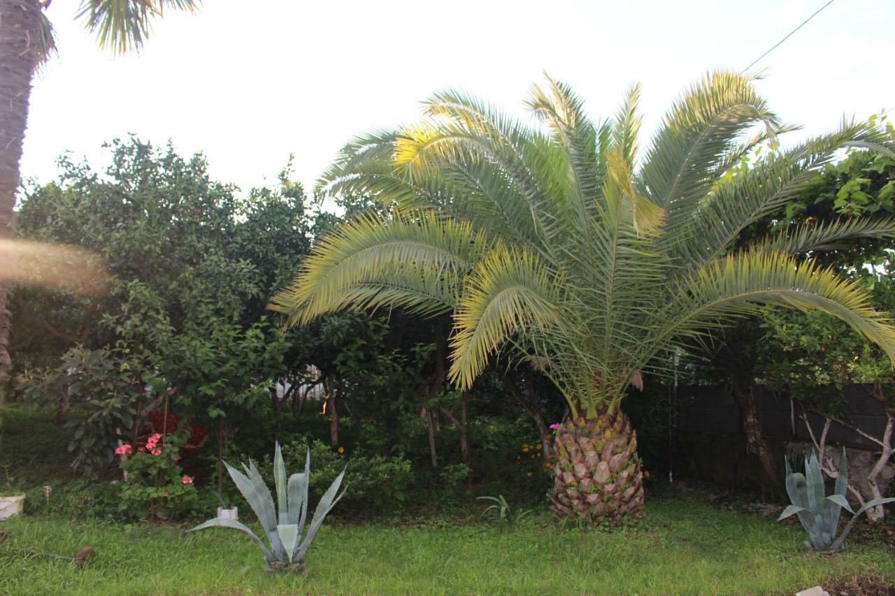 Greenview Guesthouse Μπατούμι Εξωτερικό φωτογραφία
