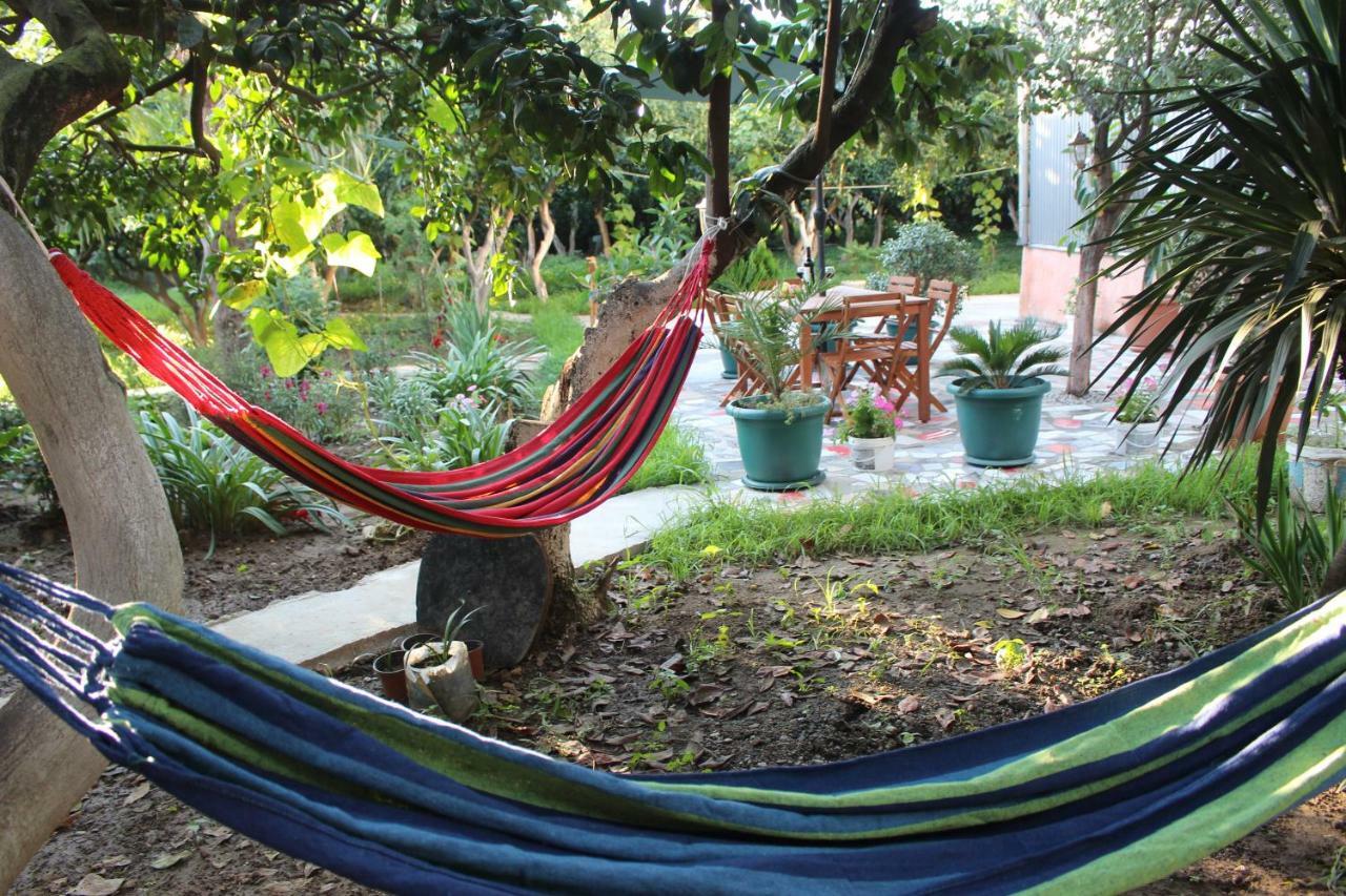 Greenview Guesthouse Μπατούμι Εξωτερικό φωτογραφία